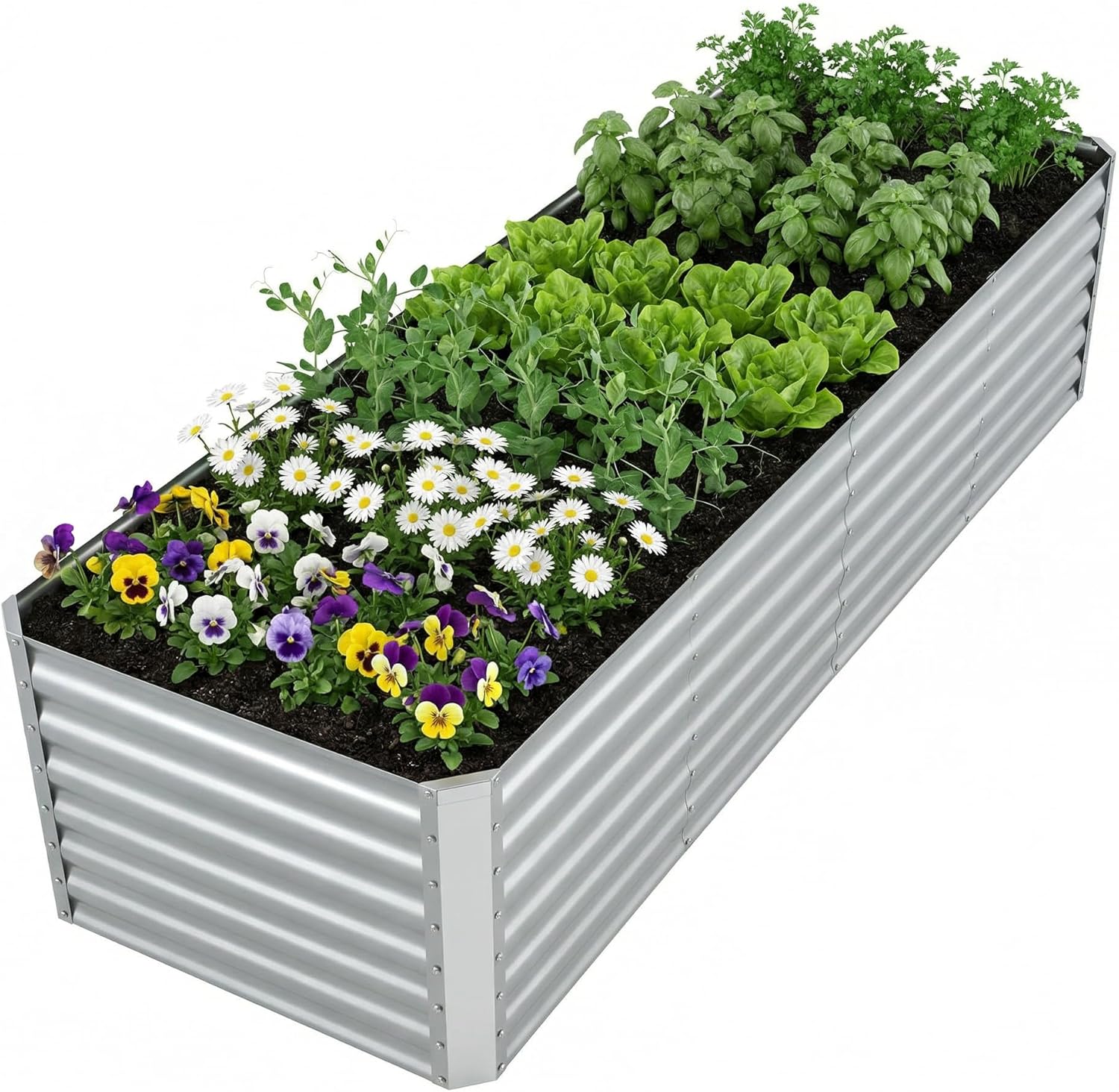Raised Garden Bed - حوض زراعة معدني كبير مجلفن للاستخدام