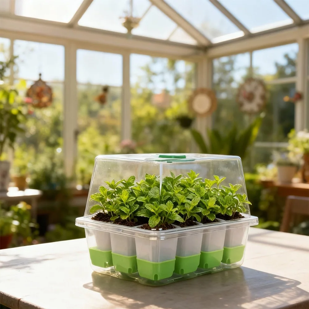 صينية لزراعة الشتلات تحتوي على - مراجعة Seed Starter Tray وسعره