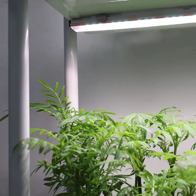نظام زراعة عمودي متحرك بثلاثة  - مراجعة Indoor Herb Garden وسعره