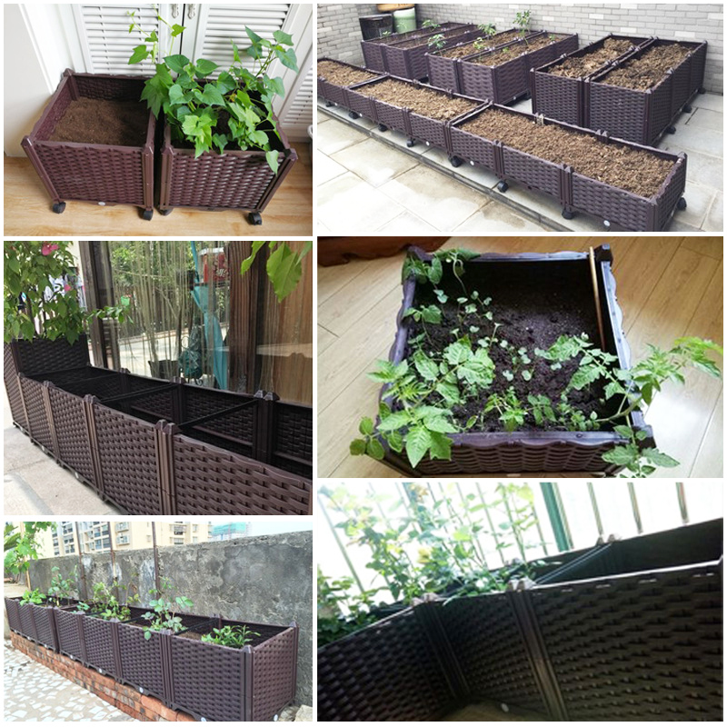 سرير زراعة مرتفع ذاتي الري، صن - مراجعة Indoor Herb Garden وسعره