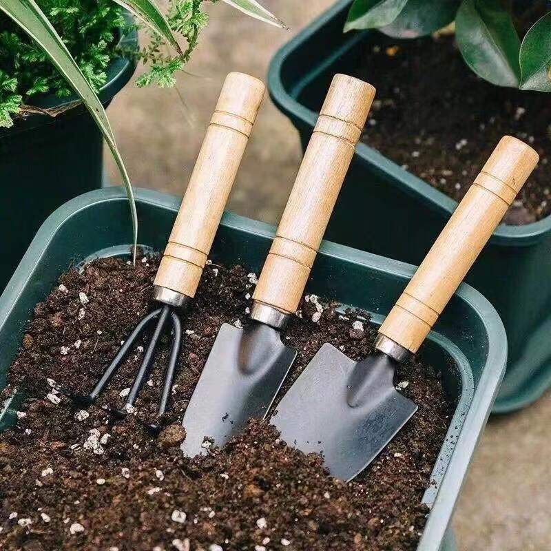 3 قطعة/1 مجموعة أدوات البستنة  - مراجعة Indoor Herb Garden وسعره