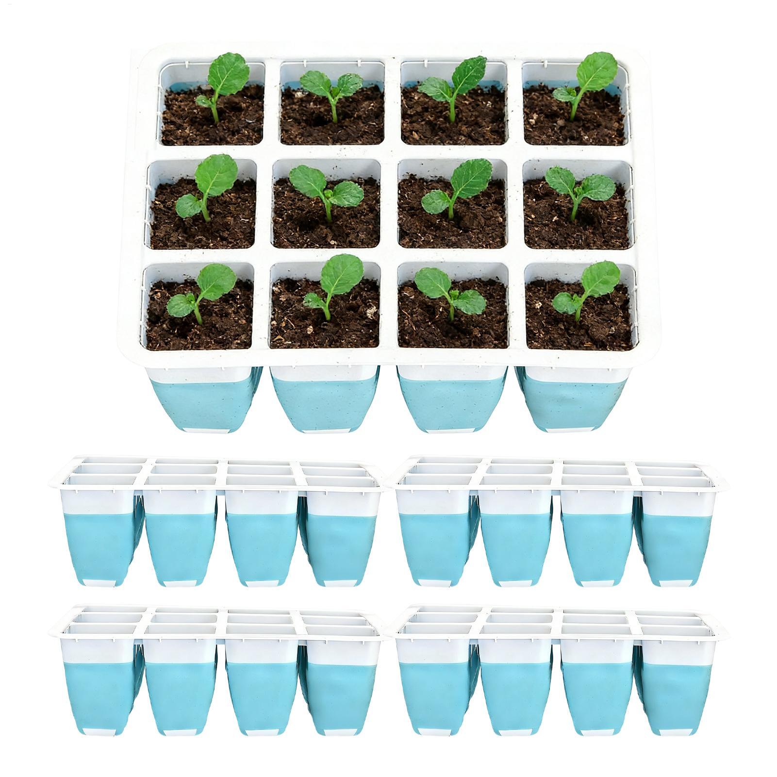 مجموعة من 5 صواني سيليكون لبدء - مراجعة Seed Starter Tray وسعره