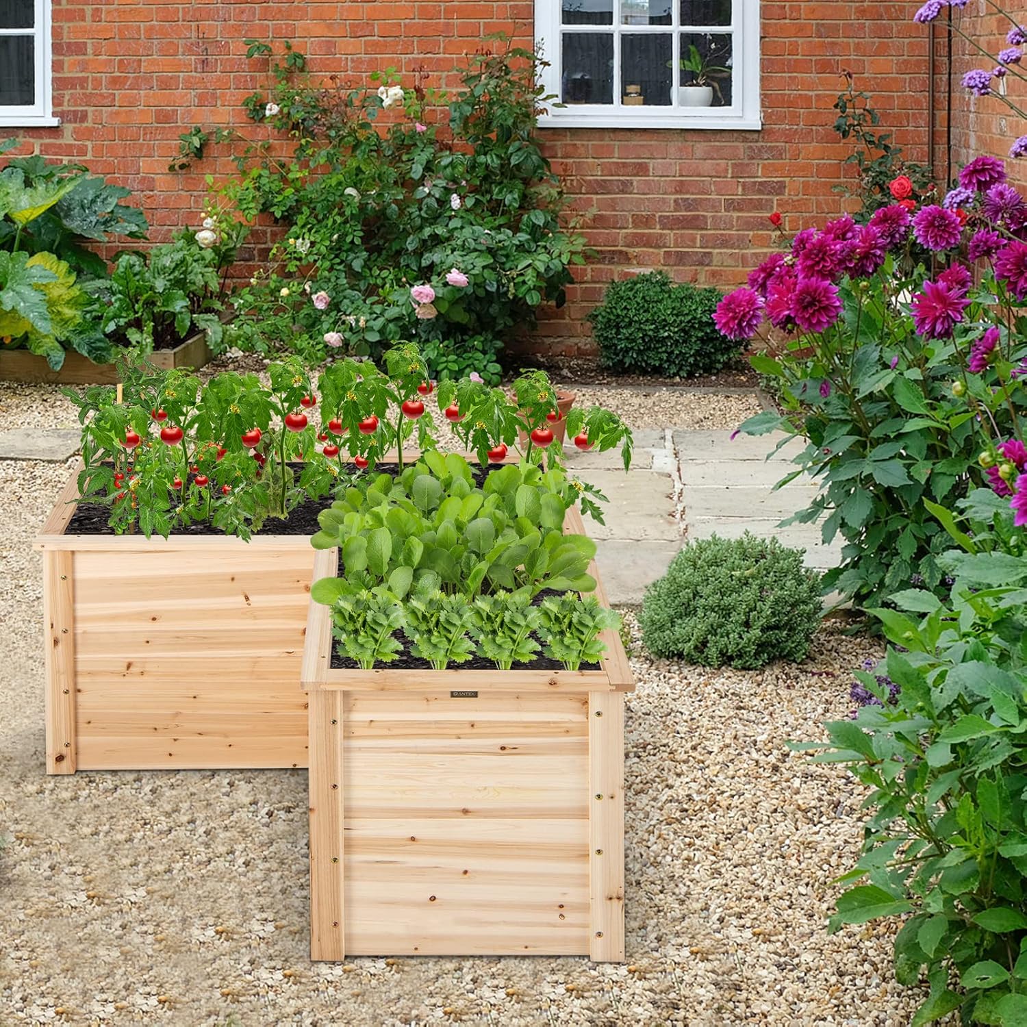 حوض زراعة خشبي صلب للاستخدام ا - مراجعة Raised Garden Bed وسعره