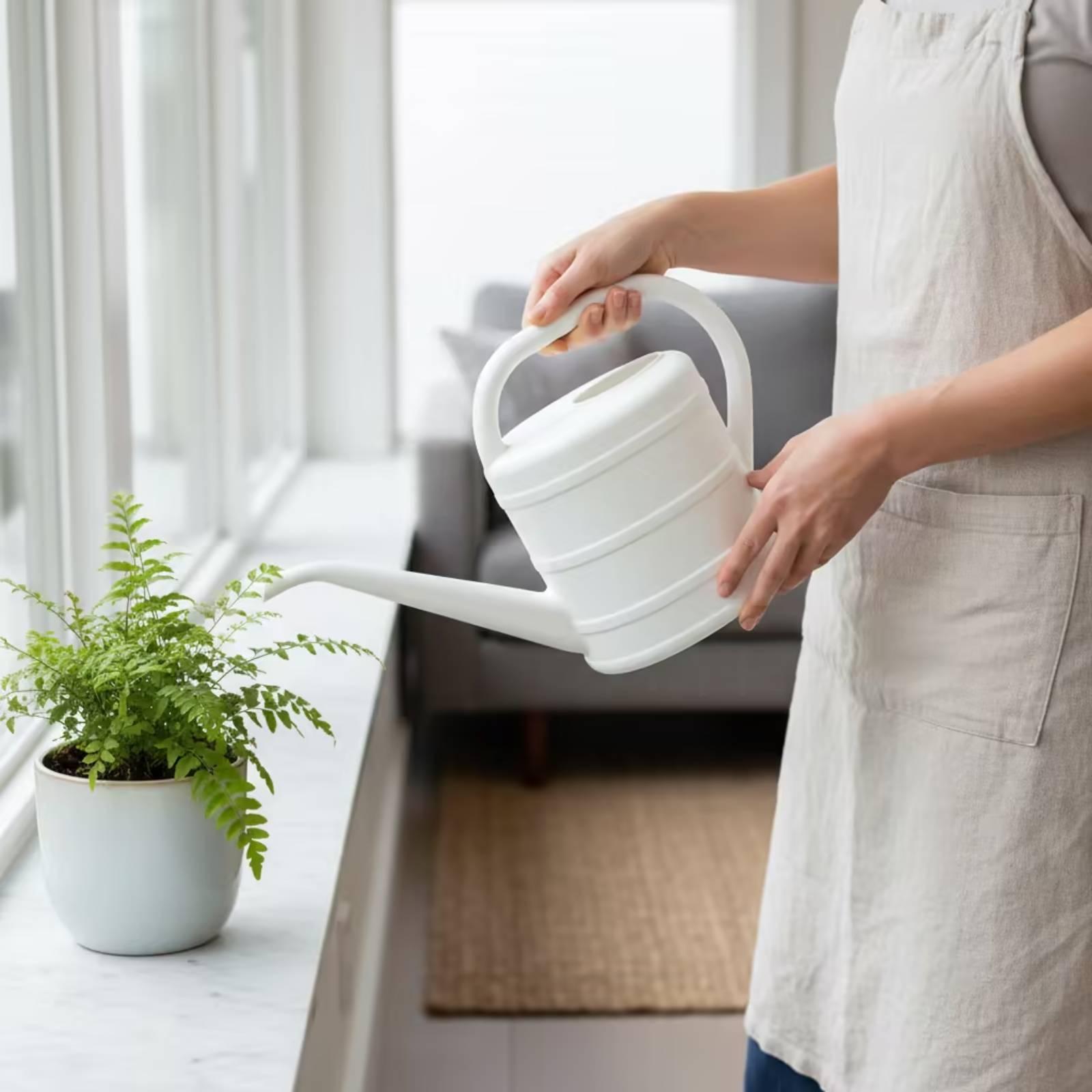 إبريق سقي بفوهة طويلة سهل التن - مراجعة Watering Can وسعره