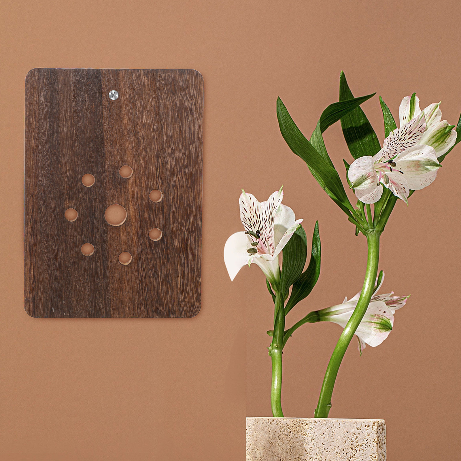 لوحة تثبيت نبات السنجاب القزم  - مراجعة Vertical Planter وسعره