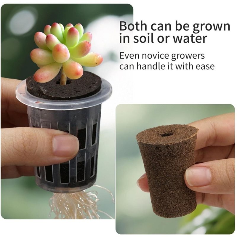 [ABFI!】 كوب شتلات هيدروبونيك،  - مراجعة Hydroponic Kit وسعره