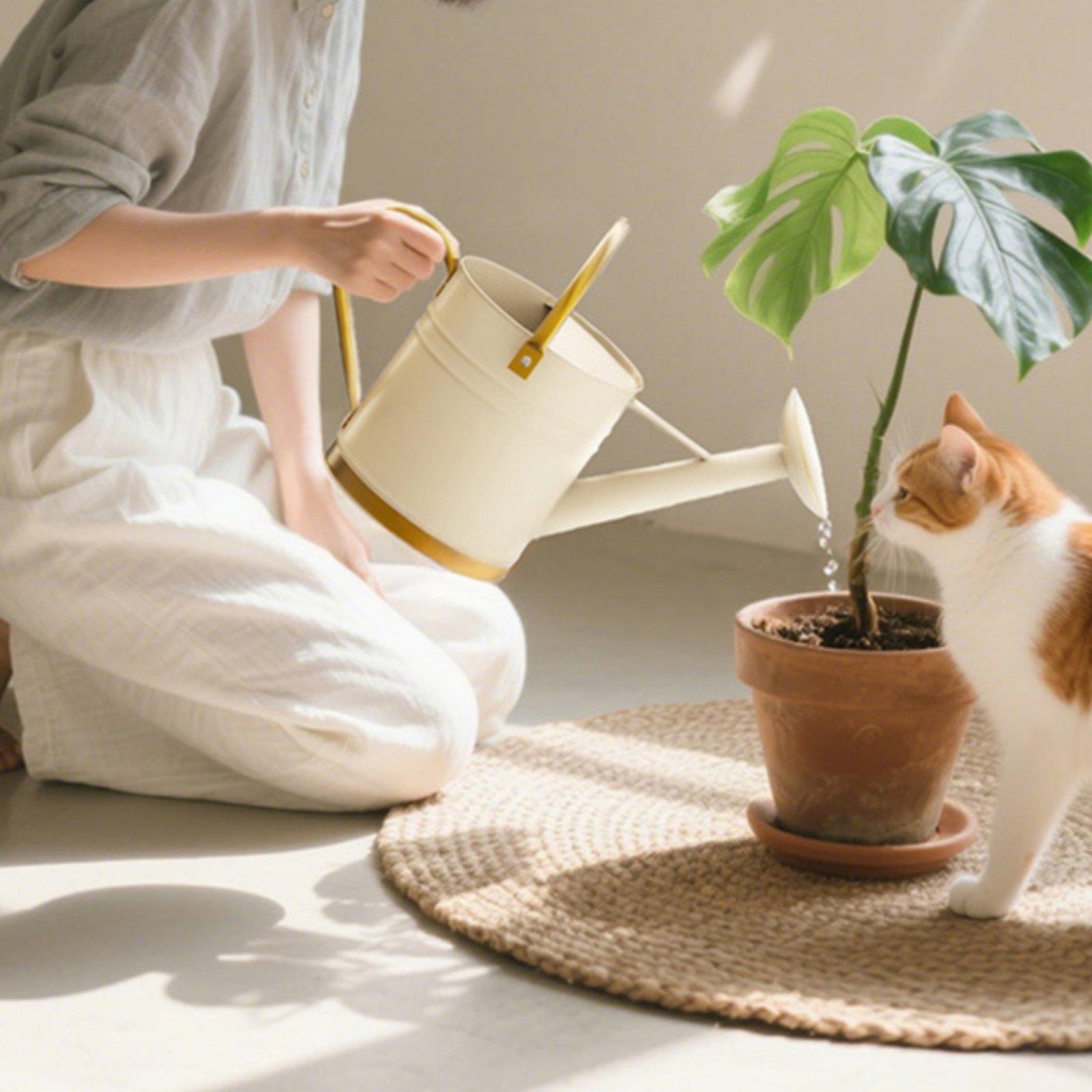 إبريق سقي معدني طويل الفوهة ما - مراجعة Watering Can وسعره